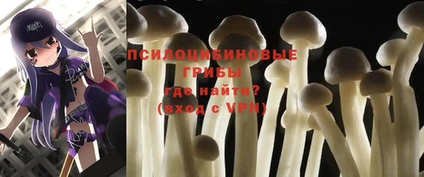 метадон Медногорск