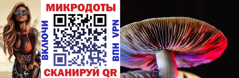 Псилоцибиновые грибы MAGIC MUSHROOMS  площадка клад  Нефтегорск  закладки 